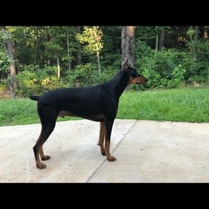 Meet your Posher, Caleb